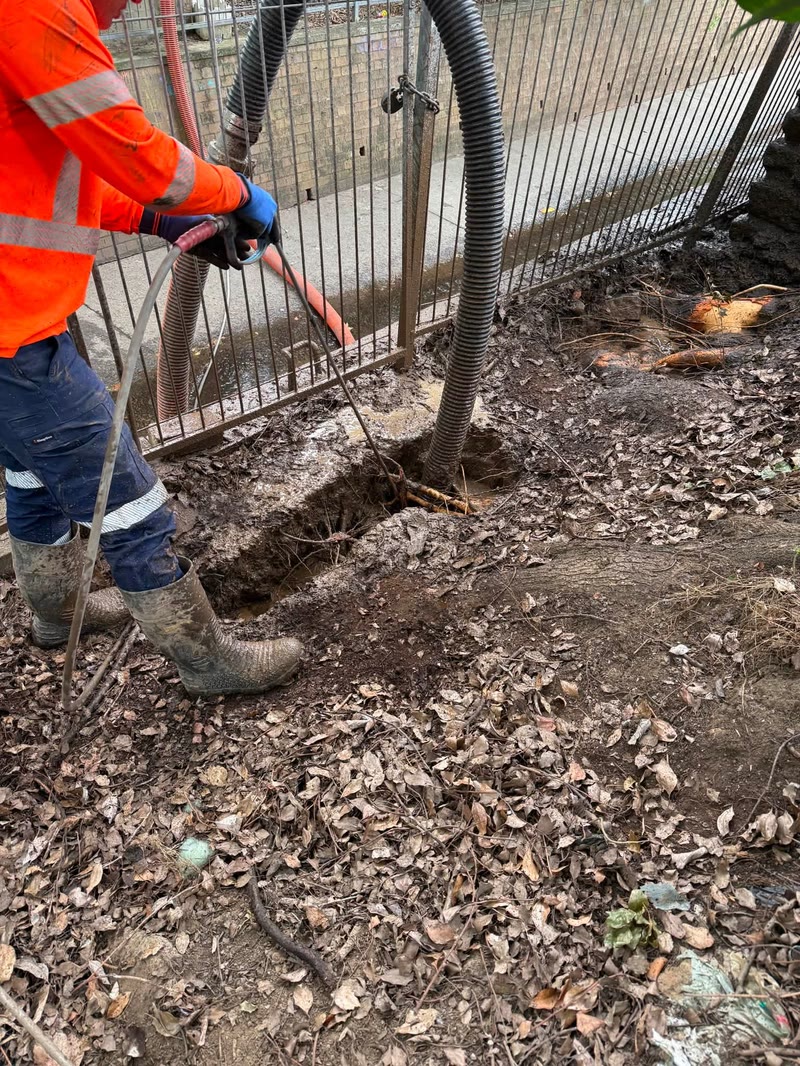 Worker using a vacuum hose near tree roots and leaf litter