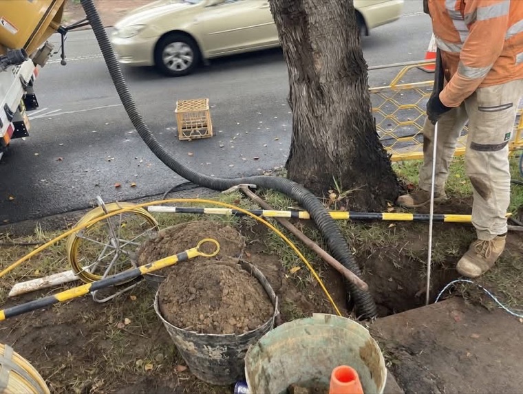 Roadside potholing around street tree roots with vac truck Sydney