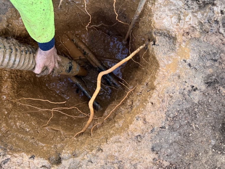 Hydro excavation exposed pipes and roots Sydney