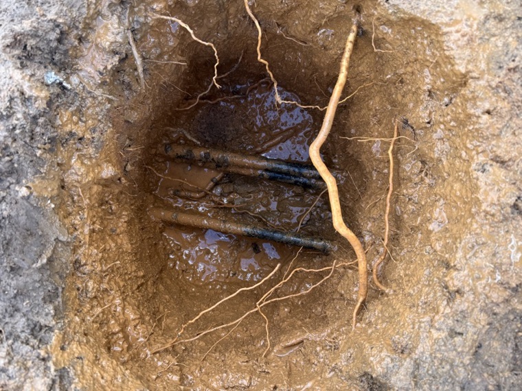 NDD excavation exposed pipes and tree roots Sydney